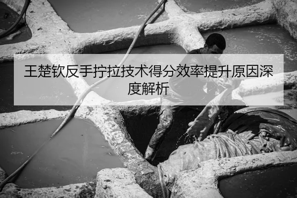 王楚钦反手拧拉技术得分效率提升原因深度解析