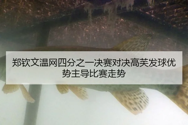 zheng-qin-wen-wen-wang-si-fen-zhi-yi-jue-sai-dui-jue-gao-fu-fa-qiu-you-shi-zhu-dao-bi-sai-zou-shi-2-310.jpg