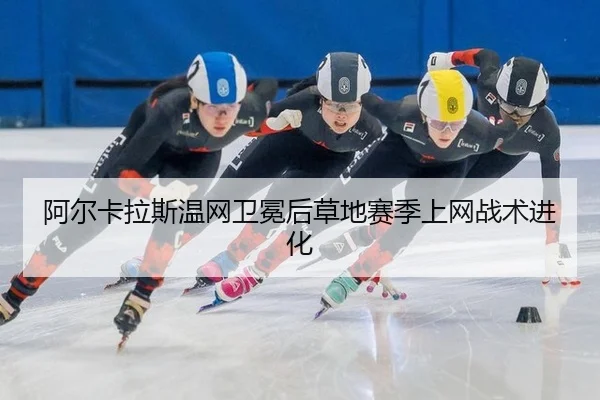 a-er-ka-la-si-wen-wang-wei-mian-hou-cao-di-sai-ji-shang-wang-zhan-shu-jin-hua-2-420.jpg